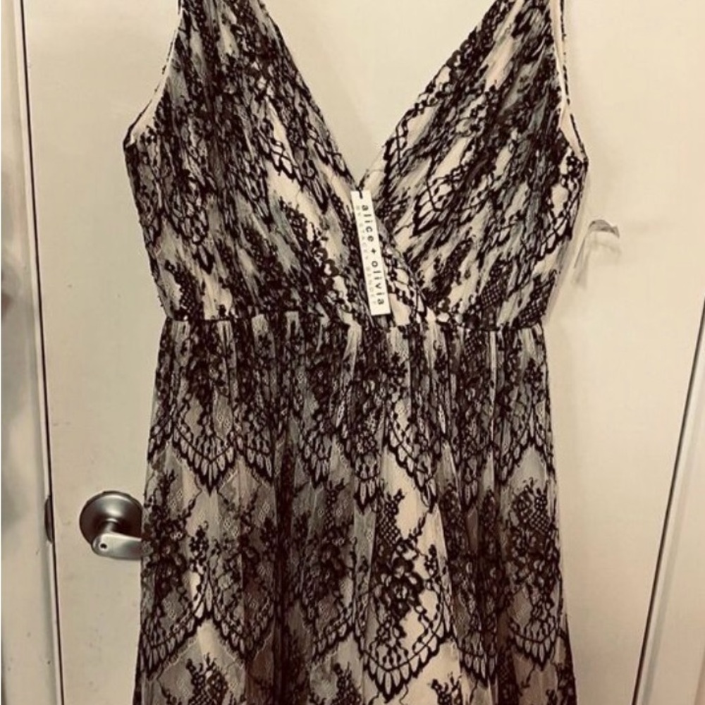 NWT Alice + Olivia Lace Clara Flare Dress Black and Ivory - Picture 7 of 16